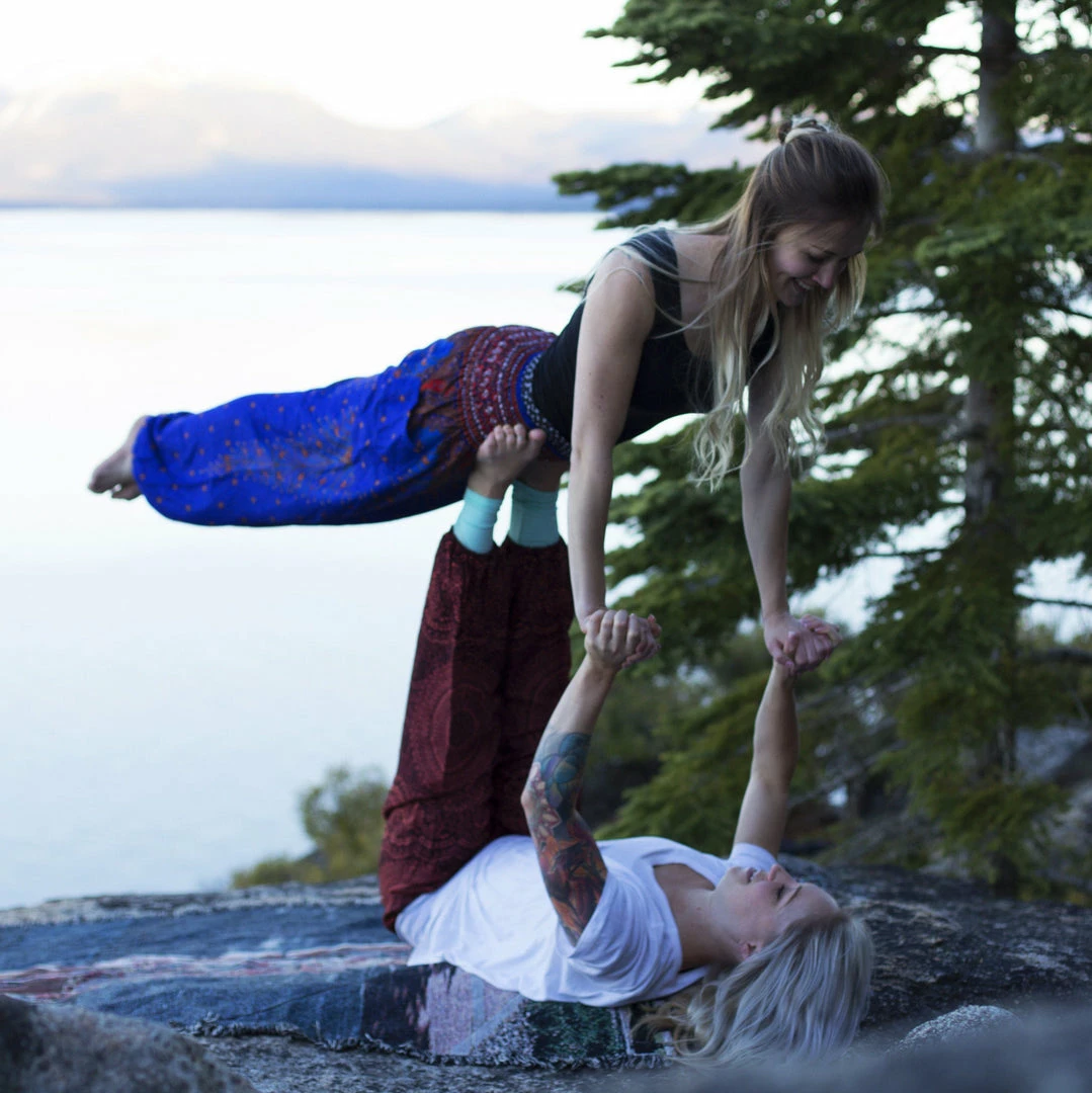 Napat Bronze Honey Hive Harem Pant 10 Napat Bronze Honey Hive Harem Pant