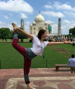 Napat Fire & Ice Honey Hive Harem Pants