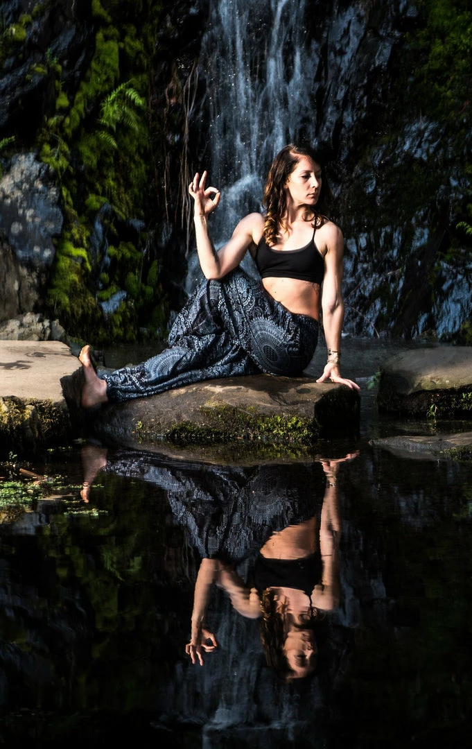 Napat Midnight Honey Hive Harem Pants 7 Napat Midnight Honey Hive Harem Pants