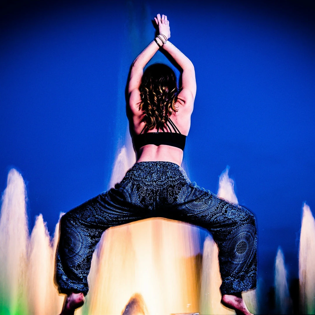 Napat Midnight Honey Hive Harem Pants 8 Napat Midnight Honey Hive Harem Pants