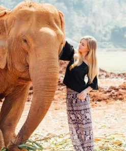 Napat Purple Classic Elephant Harem Pants