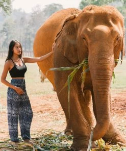 Napat Purple Tribal Diamond Harem Pants